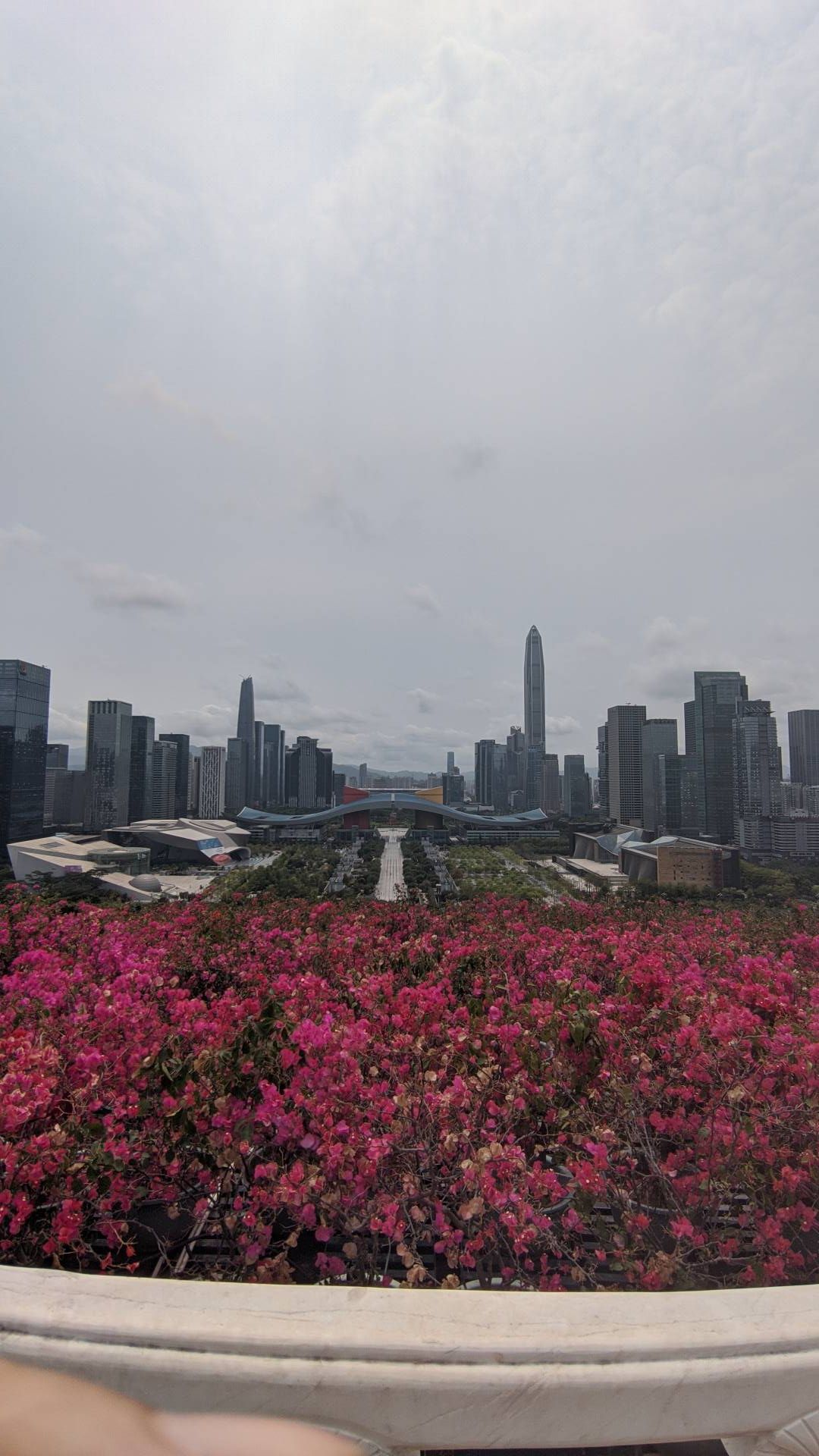 寓意深圳经济大鹏展翅的风水图