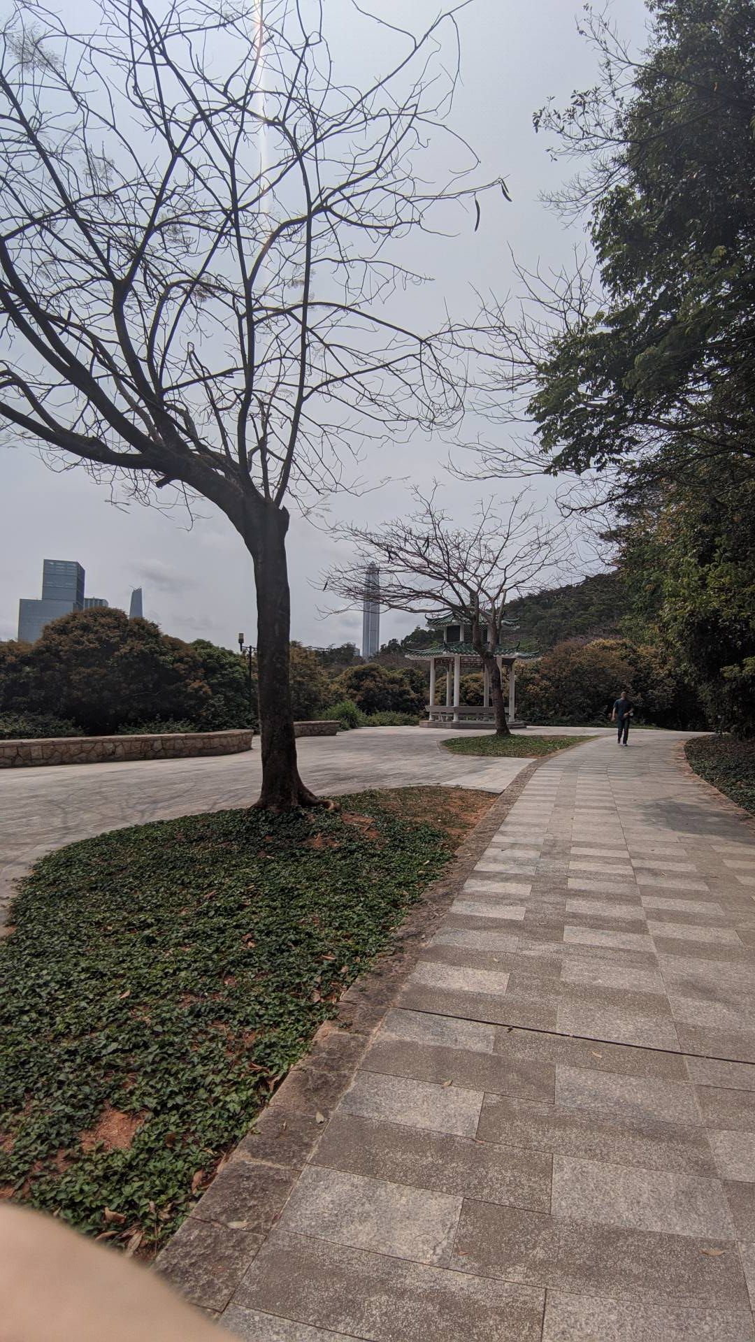 莲花山-对面那个尖尖的大厦是平安大厦